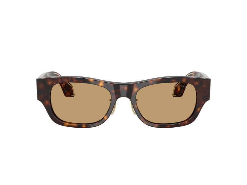 Giorgio Armani Zonnebril AR 8224 502673