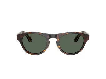 Giorgio Armani Zonnebril AR 8225 502671