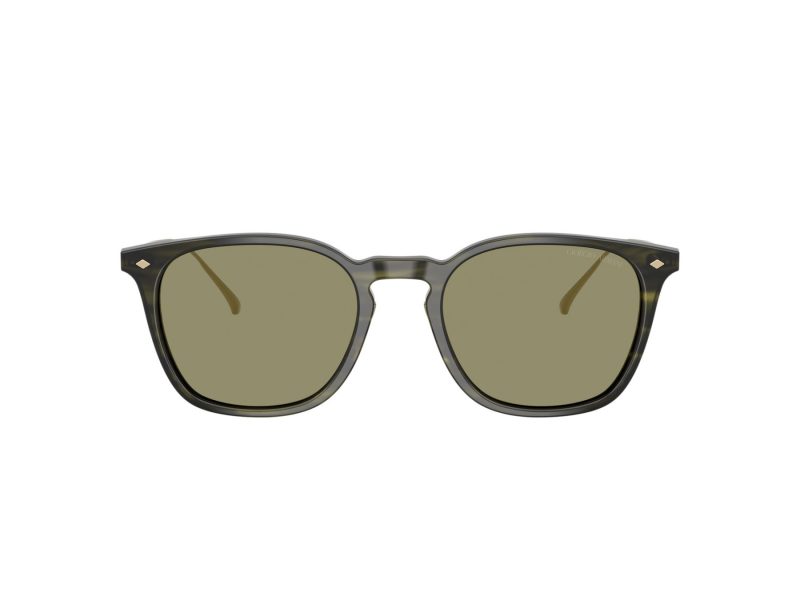 Giorgio Armani Zonnebril AR 8226T 62082A