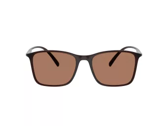 Giorgio Armani Zonnebril AR 8231U 623973