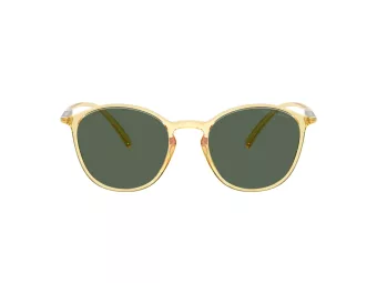 Giorgio Armani Zonnebril AR 8233U 623871