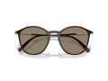 Giorgio Armani Zonnebril AR 8233U 6239M4
