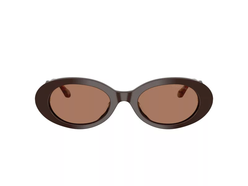 Giorgio Armani Zonnebril AR 8234U 622773