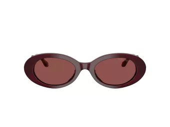 Giorgio Armani Zonnebril AR 8234U 622875