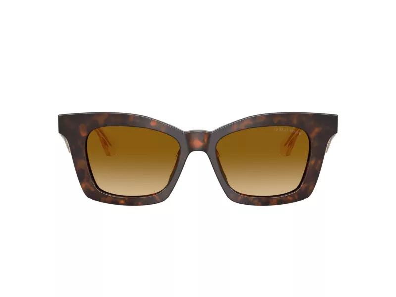 Giorgio Armani Zonnebril AR 8235U 62312L