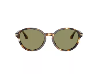 Giorgio Armani Zonnebril AR 8237 623214