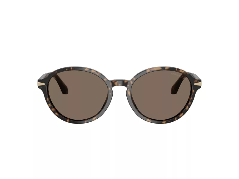 Giorgio Armani Zonnebril AR 8237 623573