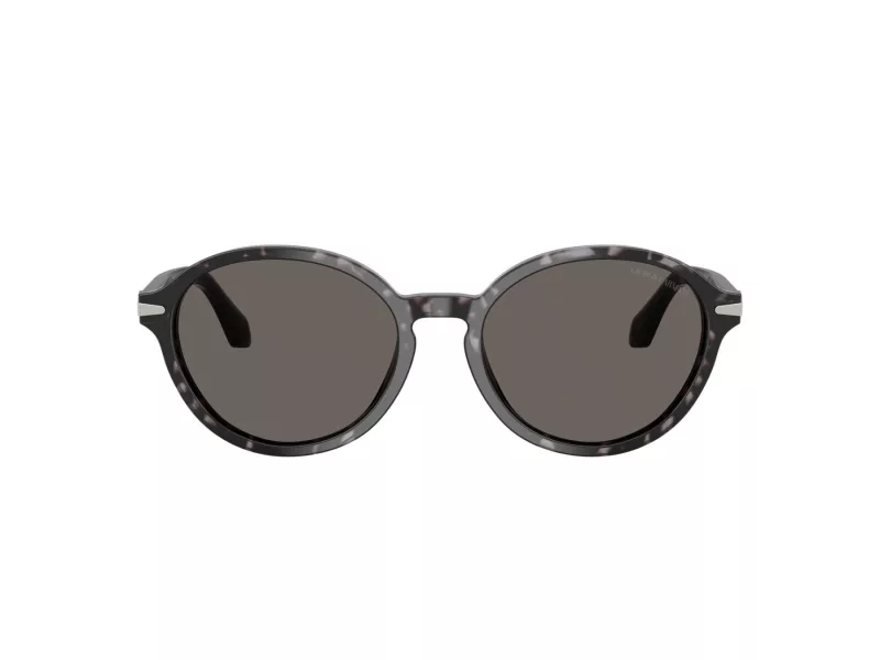 Giorgio Armani Zonnebril AR 8237 6236B1