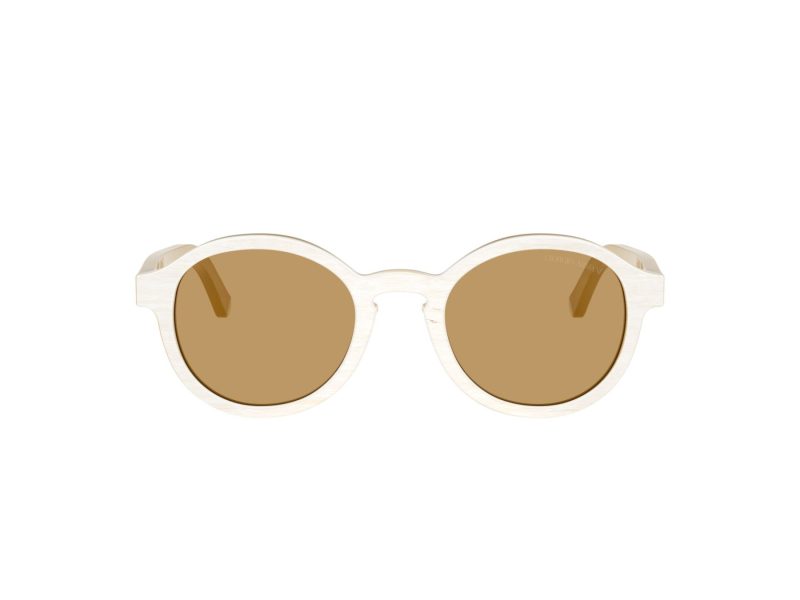 Giorgio Armani Zonnebril AR 8240 628373