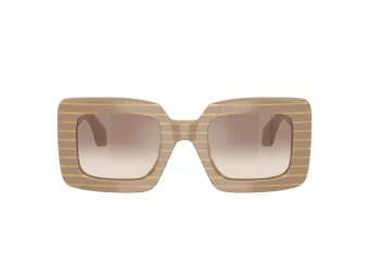 Giorgio Armani Zonnebril AR 8241U 631094