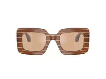 Giorgio Armani Zonnebril AR 8241U 63112S