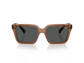 Armani Exchange Zonnebril AX 4147S 835887