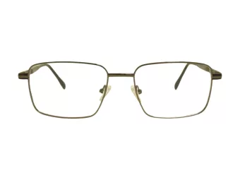 Berkeley Brillen BB 56071 C2