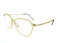 Berkeley Brillen BB 6627 GT