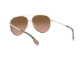 Burberry Ferry Zonnebril BE 3113 110913