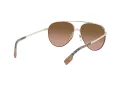 Burberry Ferry Zonnebril BE 3113 110913