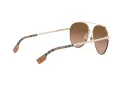 Burberry Ferry Zonnebril BE 3113 110913