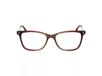 Bulget Brillen BG 6463 C01