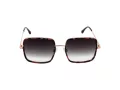 Bulget Zonnebril BG Y3006 G22
