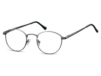 Berkeley computerbril 793A