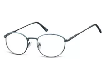 Berkeley computerbril 794 B