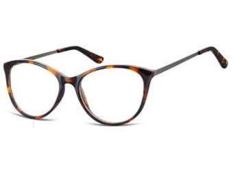 Berkeley computerbril AC27