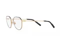 Dolce & Gabbana Brillen DG 1349 1311
