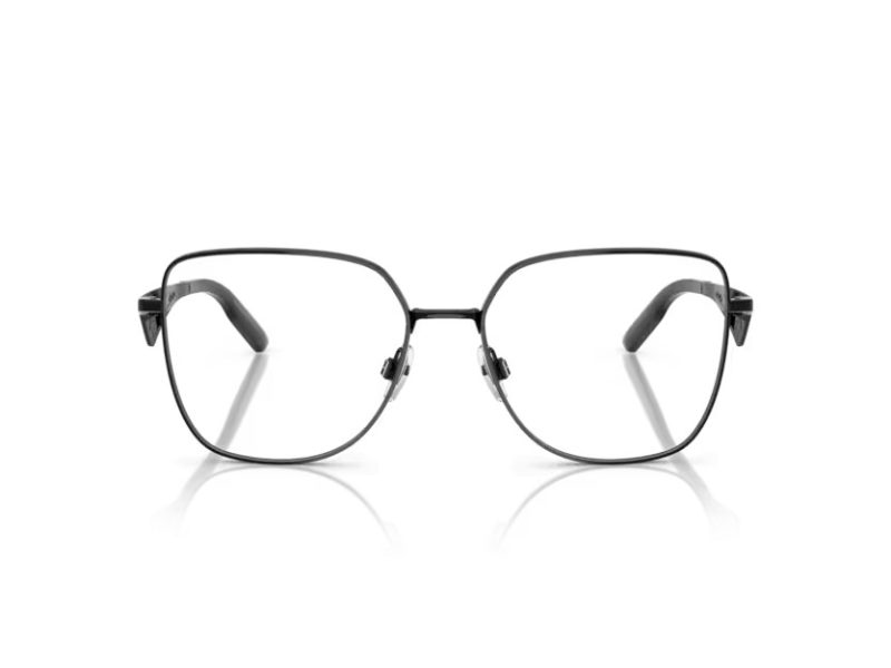 Dolce & Gabbana Brillen DG 1358 01
