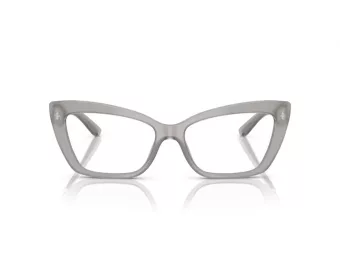 Dolce & Gabbana Brillen DG 3375B 3421