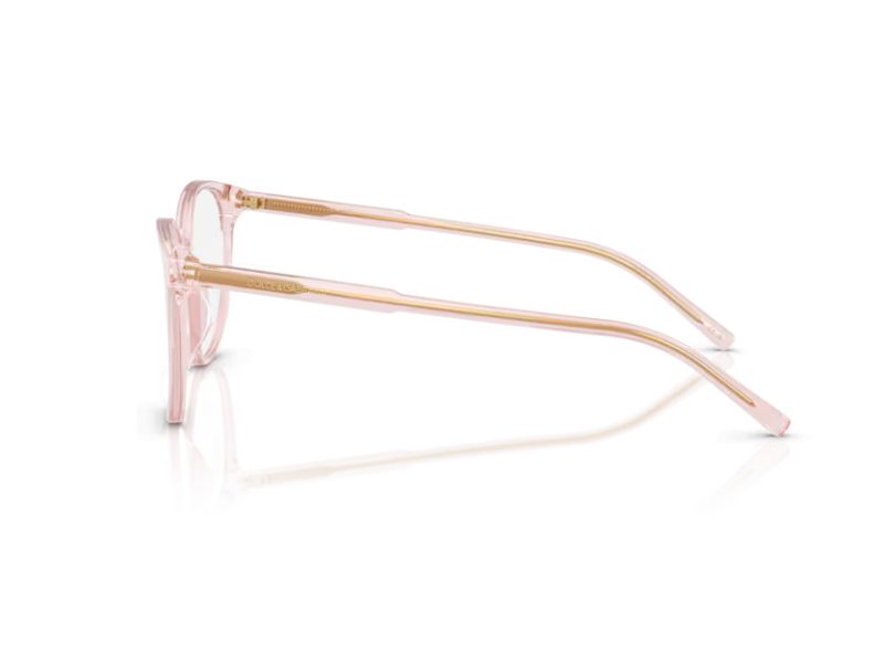 Dolce & Gabbana Brillen DG 3425 3148