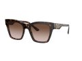 Dolce & Gabbana Zonnebril DG 4384 502/13