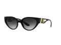 Dolce & Gabbana Zonnebril DG 6146 501/8G