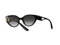 Dolce & Gabbana Zonnebril DG 6146 501/8G
