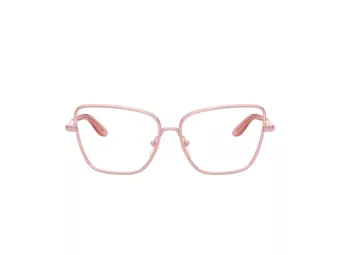 Dolce & Gabbana Kids Brillen DX 1102 1361