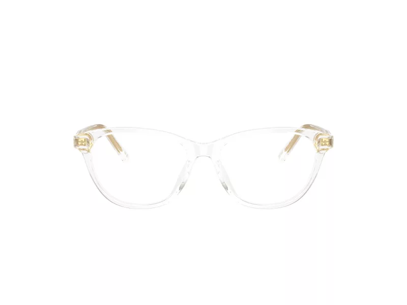 Dolce & Gabbana Kids Brillen DX 3002 3133