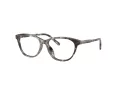 Dolce & Gabbana Kids Brillen DX 3002 3443