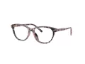 Dolce & Gabbana Kids Brillen DX 3002 3476