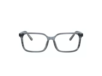 Dolce & Gabbana Kids Brillen DX 3003 3482