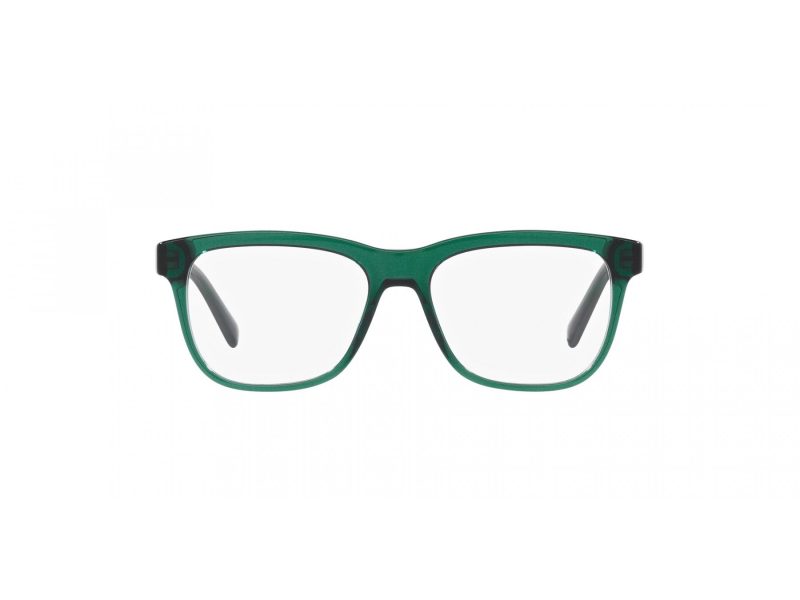 Dolce & Gabbana Kids Brillen DX 3356 3008