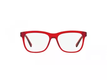 Dolce & Gabbana Kids Brillen DX 3356 3409