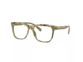 Dolce & Gabbana Kids Brillen DX 3356 3488