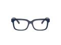 Dolce & Gabbana Kids Brillen DX 5002 3094