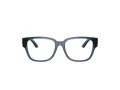 Dolce & Gabbana Kids Brillen DX 5006 3009