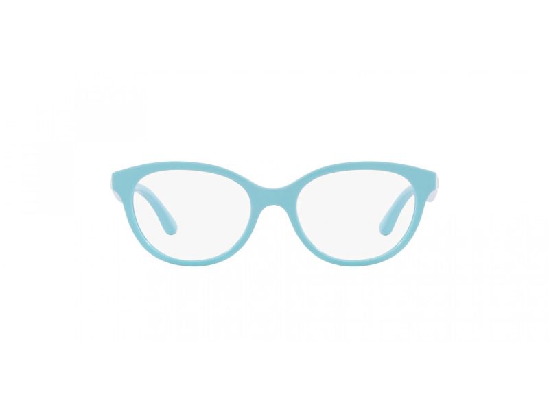 Dolce & Gabbana Kids Brillen DX 5096 3134