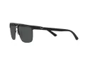 Emporio Armani Zonnebril EA 2134 300187