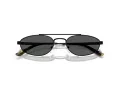 Emporio Armani Zonnebril EA 2157 300187