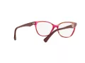 Emporio Armani Brillen EA 3172 5021