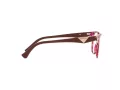 Emporio Armani Brillen EA 3172 5021