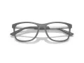 Emporio Armani Brillen EA 3247 6205