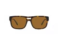 Emporio Armani Zonnebril EA 4197 587983